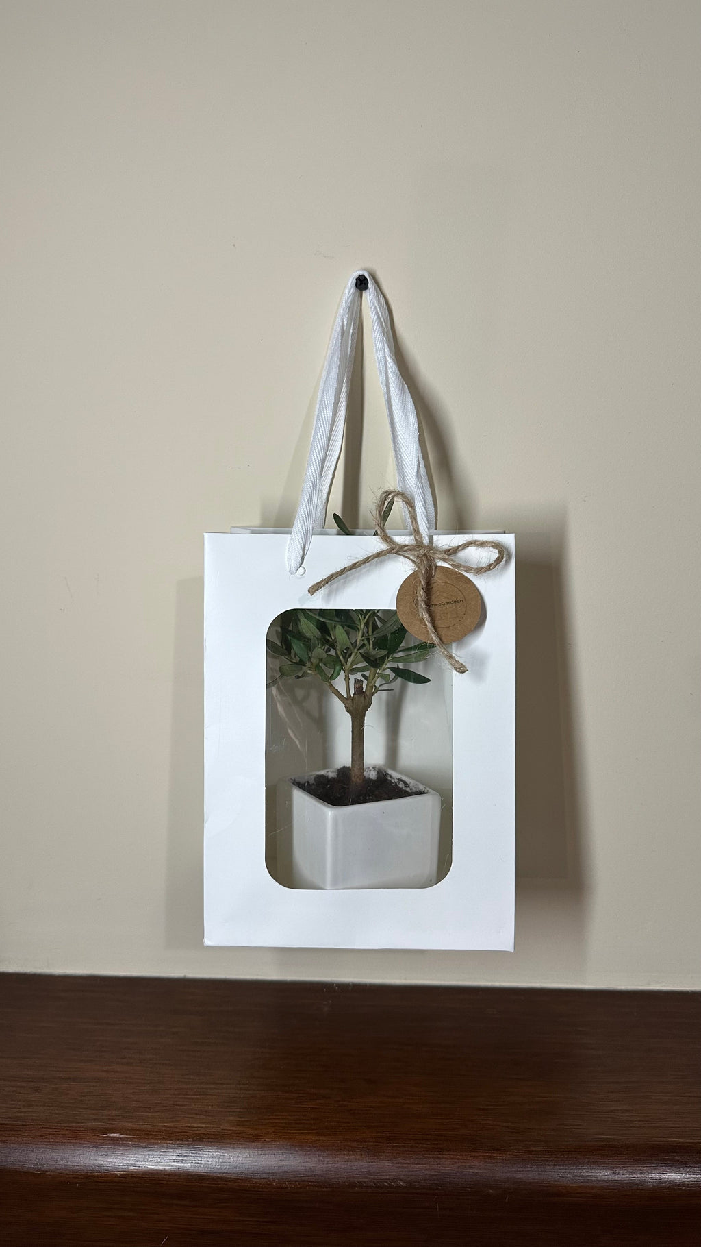 Set 5 Borse per Bomboniere 20cm x 15cm x 10cm con finestra trasparente