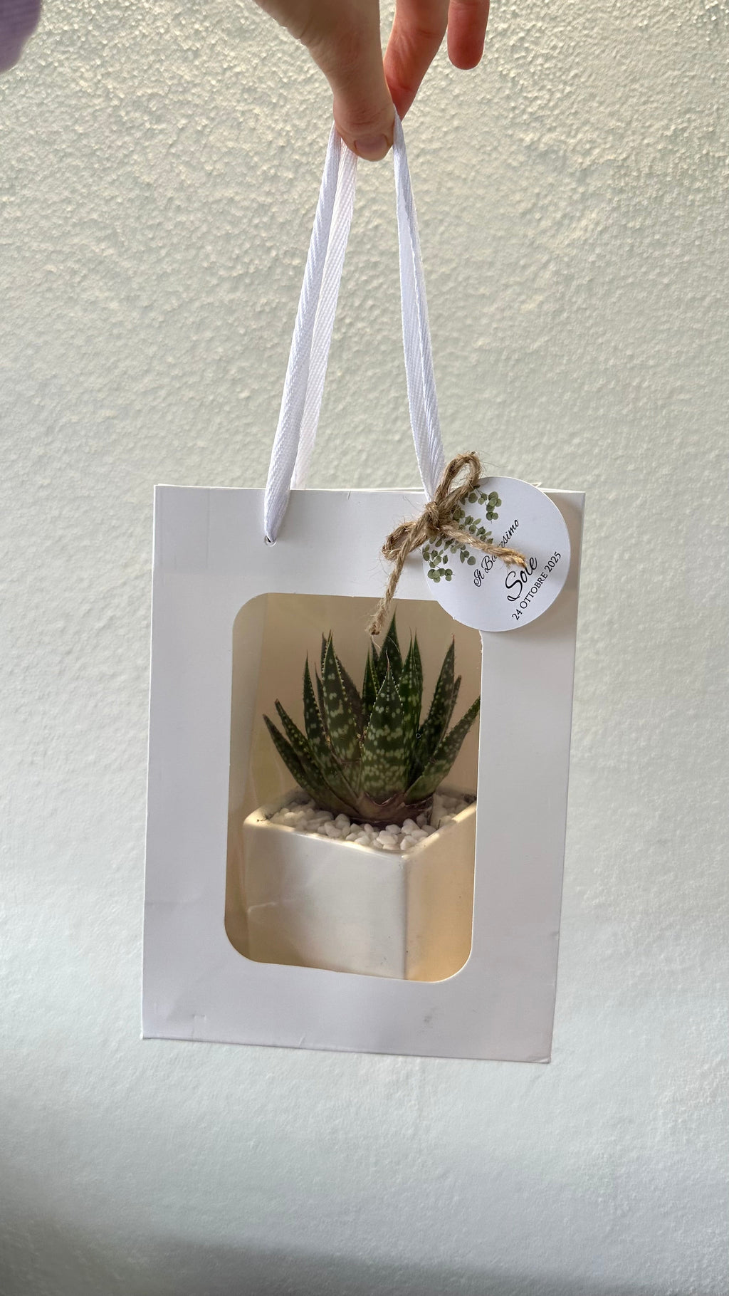 Set 5 Borse per Bomboniere 20cm x 15cm x 10cm con finestra trasparente