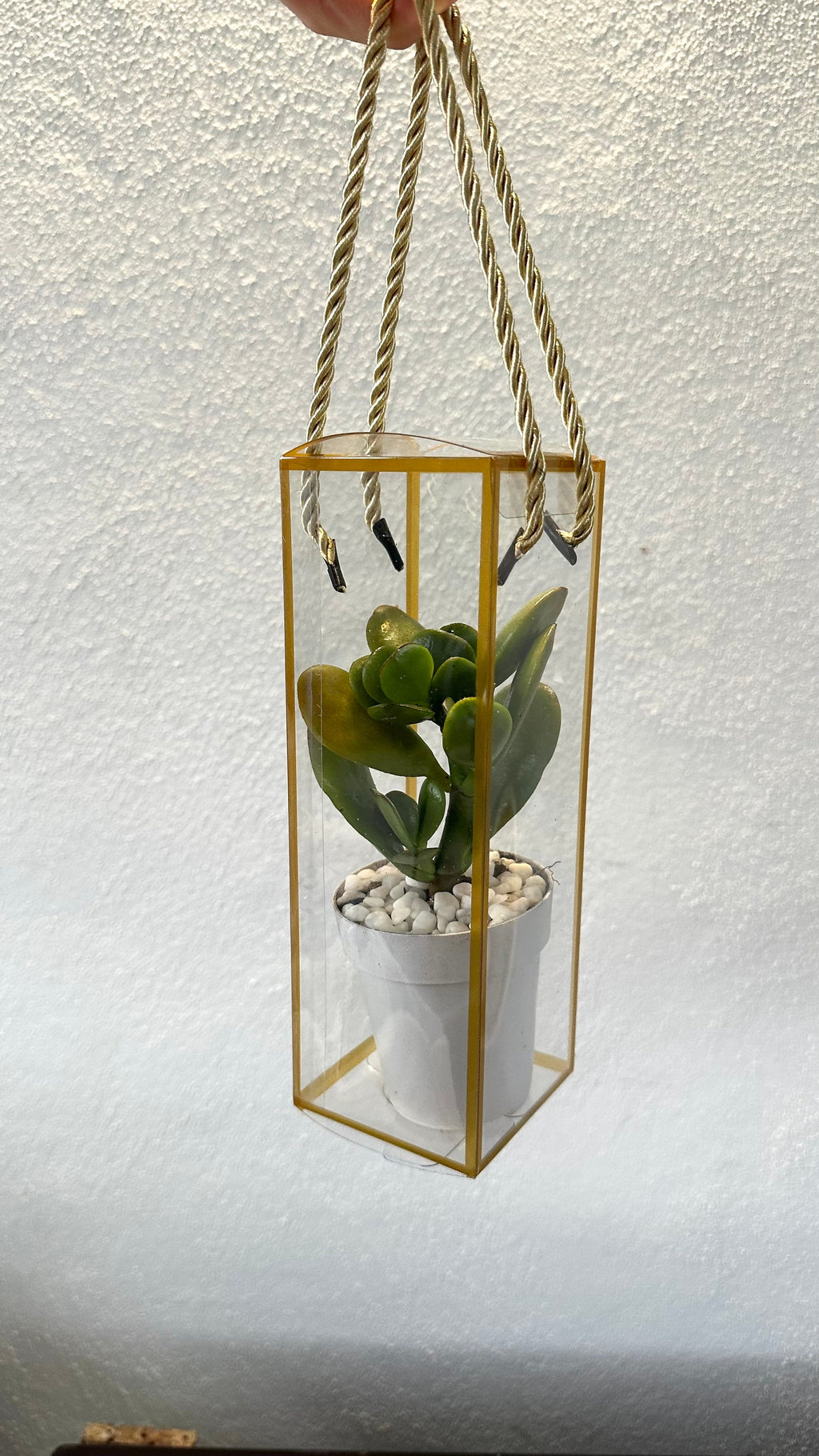 Set 5 Scatoline per Bomboniere 7cm x 7cm x 21cm Trasparenti bordi oro e lacci