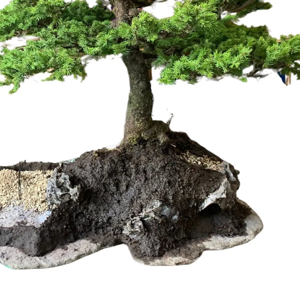Substrato KETO per bonsai 1.2 L