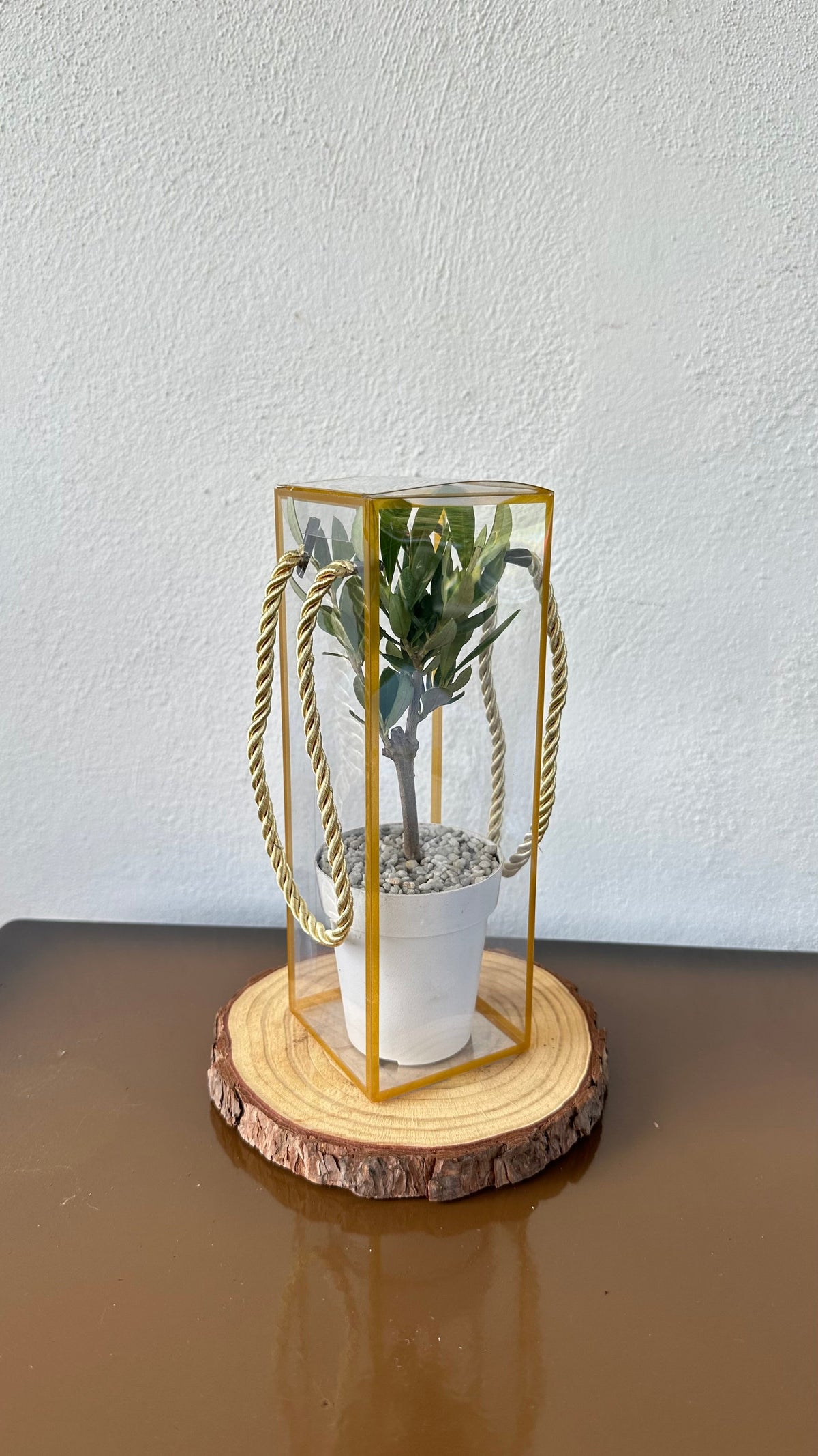 Set 5 Scatoline per Bomboniere 7cm x 7cm x 21cm Trasparenti bordi oro e lacci