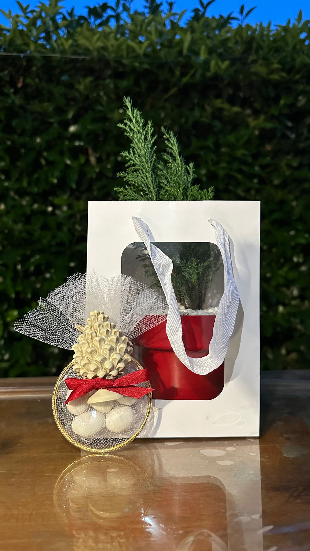 Set 5 Borse per Bomboniere 20cm x 15cm x 10cm con finestra trasparente