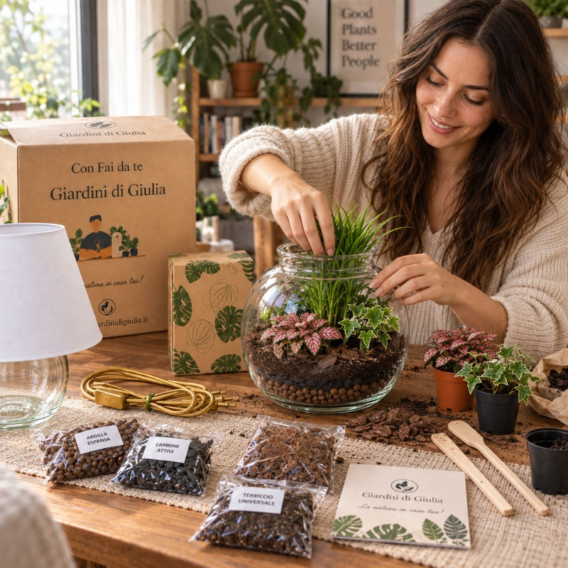 Kit Terrarium Lamparium Grande con piante verdi