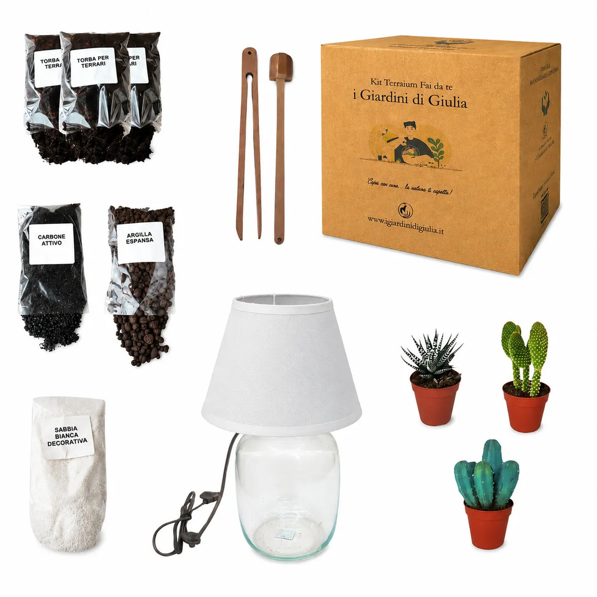 Kit Terrarium Lamparium Medio con piante grasse