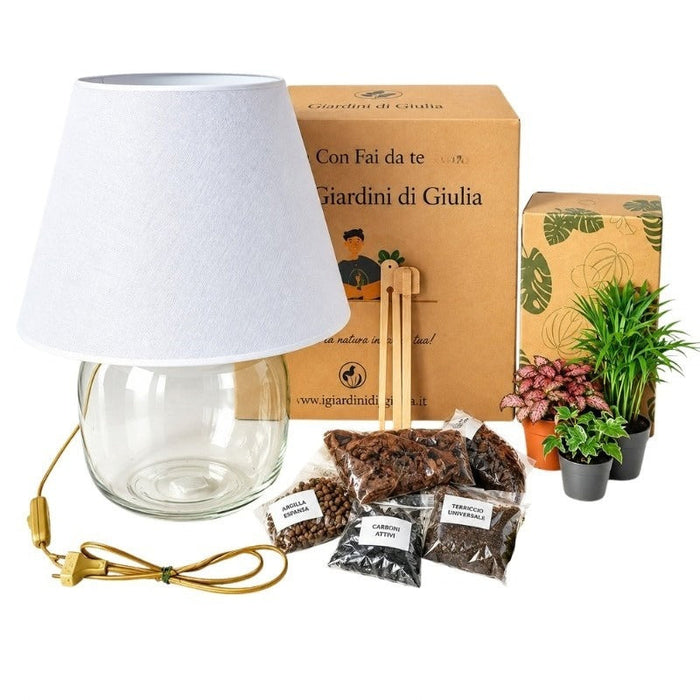 Kit Terrarium Lamparium Grande con piante verdi
