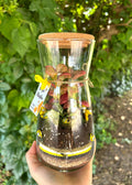 Terrarium chiuso simil clessidra H20cm