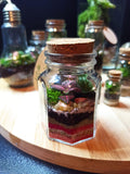 Terrarium chiuso esagonale H8cm