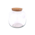 Contenitore Grande in Vetro Soffiato per Terrarium