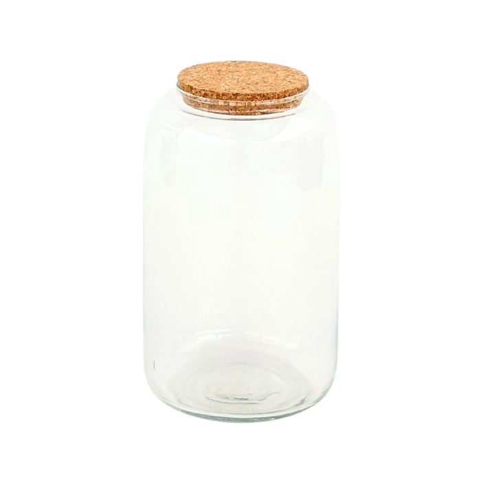 Contenitore Piccolo in Vetro Soffiato per Terrarium