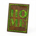 Quadro in Muschio Stabilizzato con Scritta HOME – 50x35 cm | Decorazione Verde da Parete