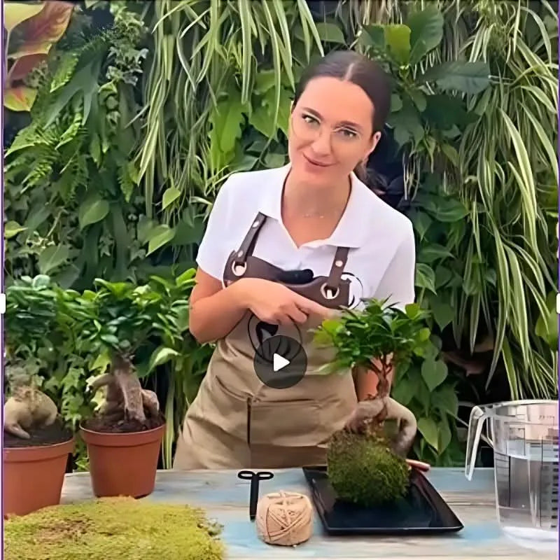Kit Kokedama Fai da te Asplendium Crispy Wave Tutto incluso