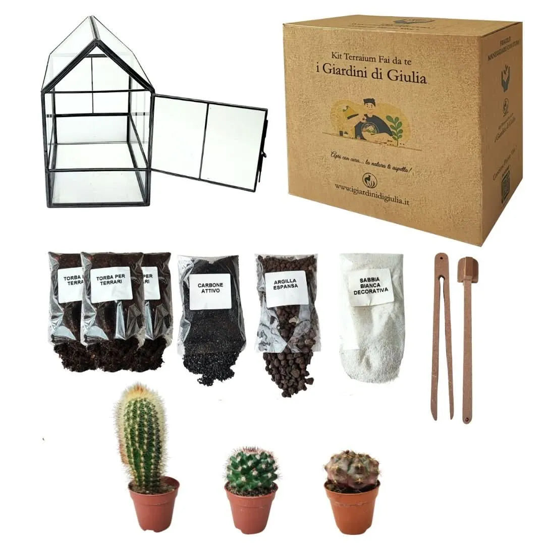 Kit Terrarium Geometrico Fai Da Te Beatrice Piante grasse