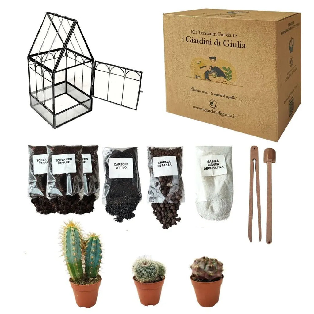 Kit Terrarium Geometrico Fai Da Te Giada Piante grasse