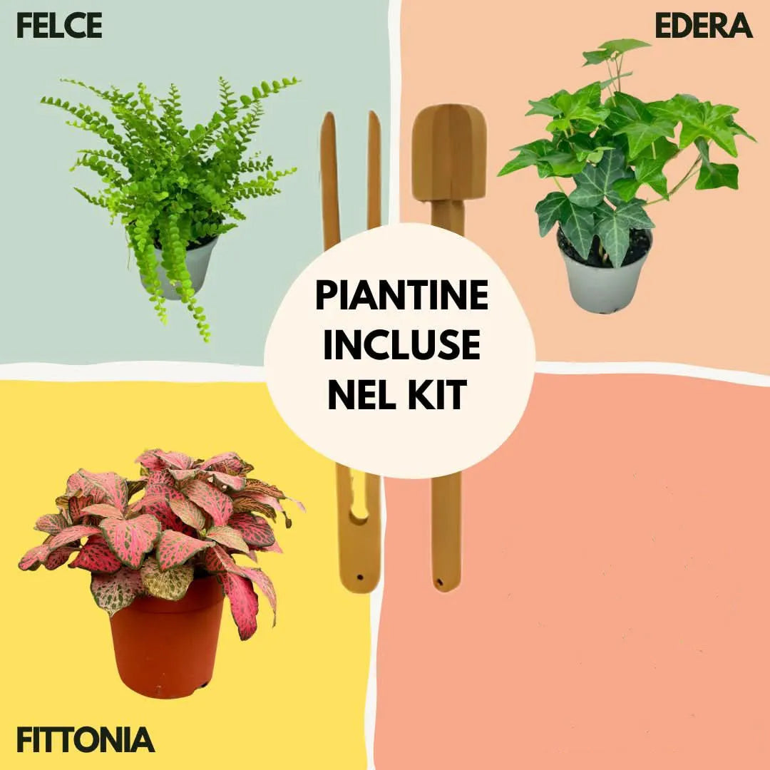 Kit Terrarium Lamparium Medio con piante verdi