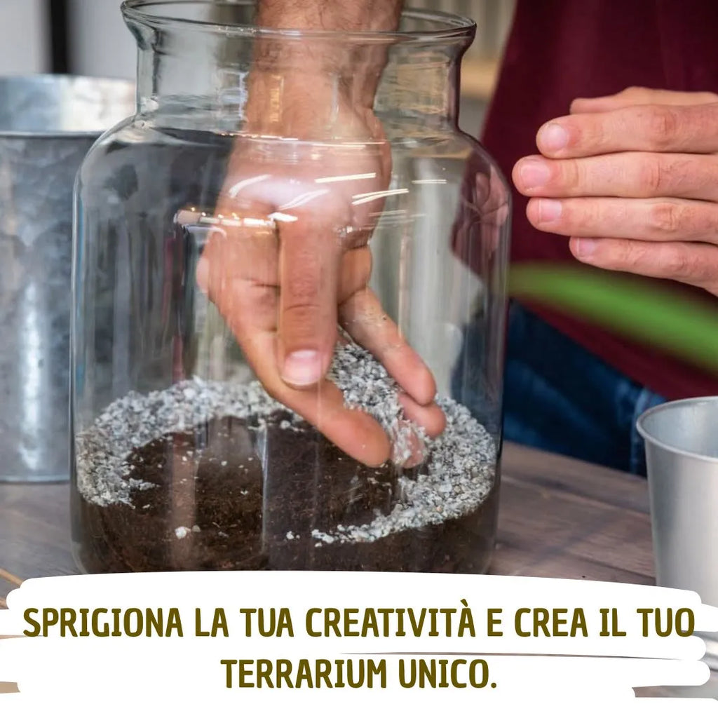 Kit Terrarium Quadrato 12×20 cm – Senza Piante | Made in Italy