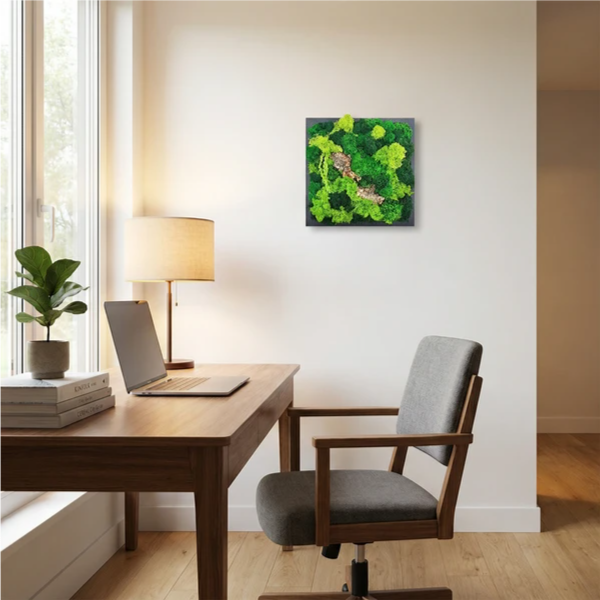 Quadro di Muschio e Licheni Stabilizzati 30x30 cm