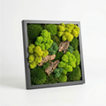 Quadro di Muschio e Licheni Stabilizzati 30x30 cm