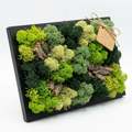 Quadro Mini in Muschio e Licheni Stabilizzati 14,5x24,5 cm – Cornice Nera | Made in Italy