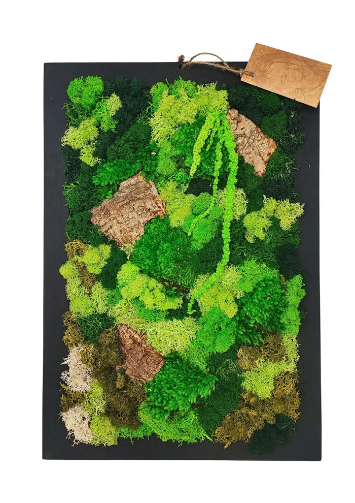 Quadro Rettangolare di Muschio e Licheni Stabilizzati  30x40 cm