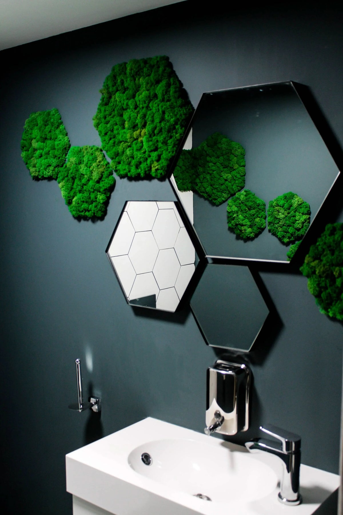 Quadro verde preservato Esagono Viridem