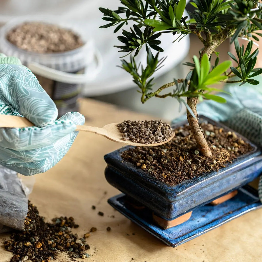 Substrato TERRABONSAI 2 L
