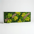 Quadro Rettangolare Muschio e Licheni Stabilizzati con Sughero – 90x30 cm | Cornice Bianca o Nera