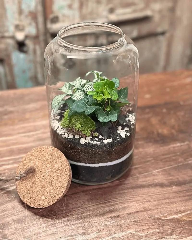 Kit Terrarium Piccolo 23×12Ø cm – Senza Piante | Made in Italy