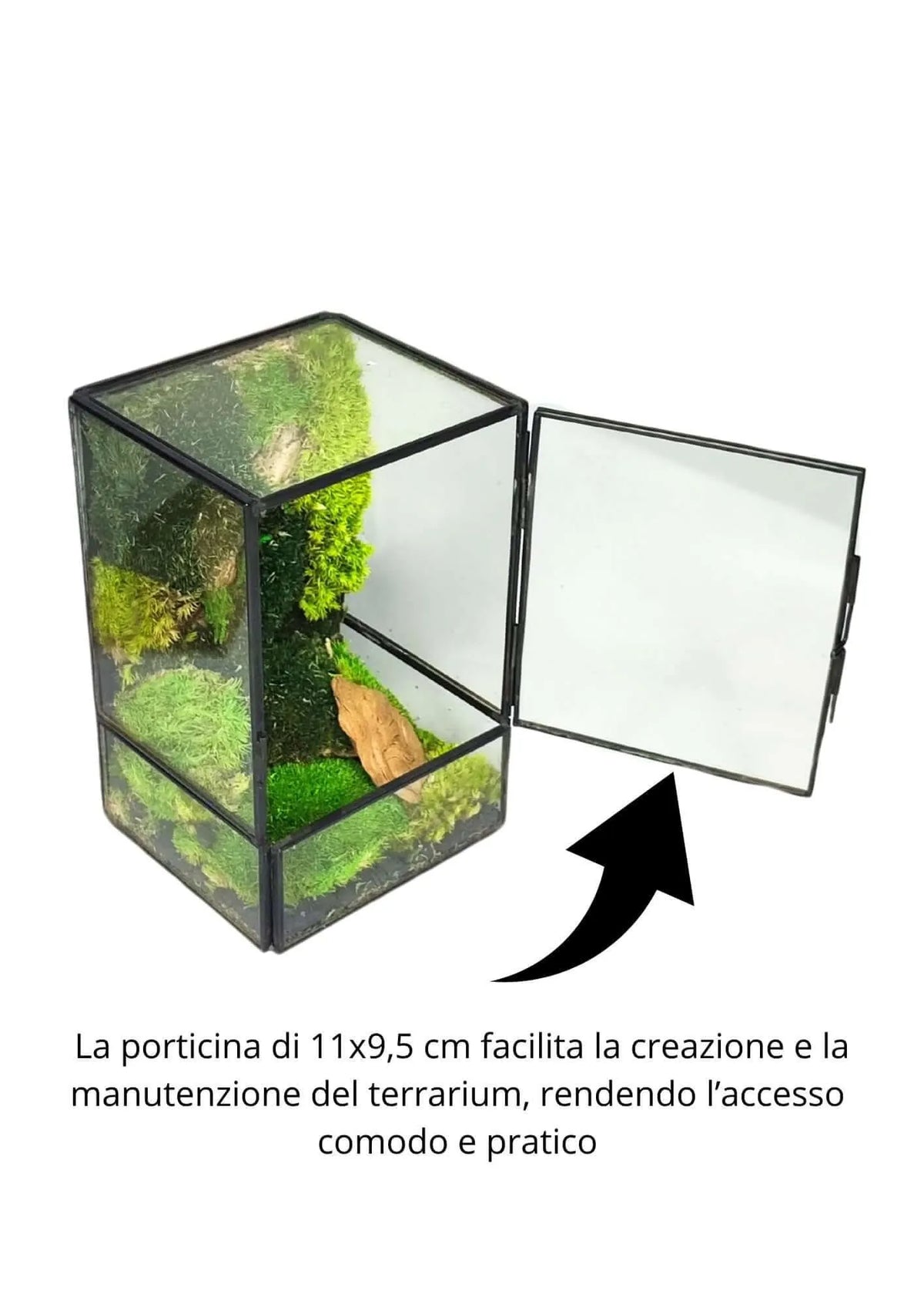 Terrarium geometrico Angolo di Vita 2TR074