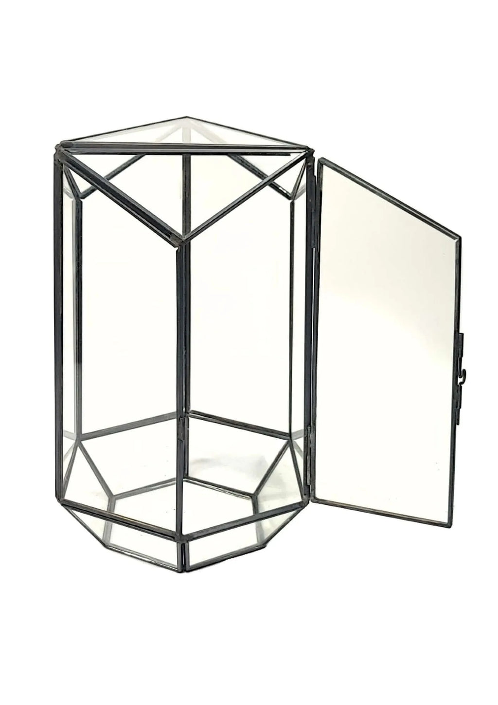 Terrarium geometrico Eden di Vetro 2TR064