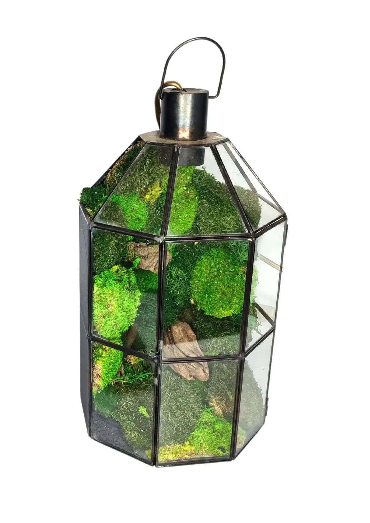 Terrarium geometrico Faro di Cristallo 2TR078