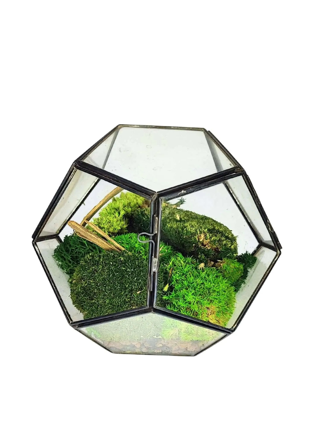 Terrarium geometrico Giardino di Cristallo 2TR070