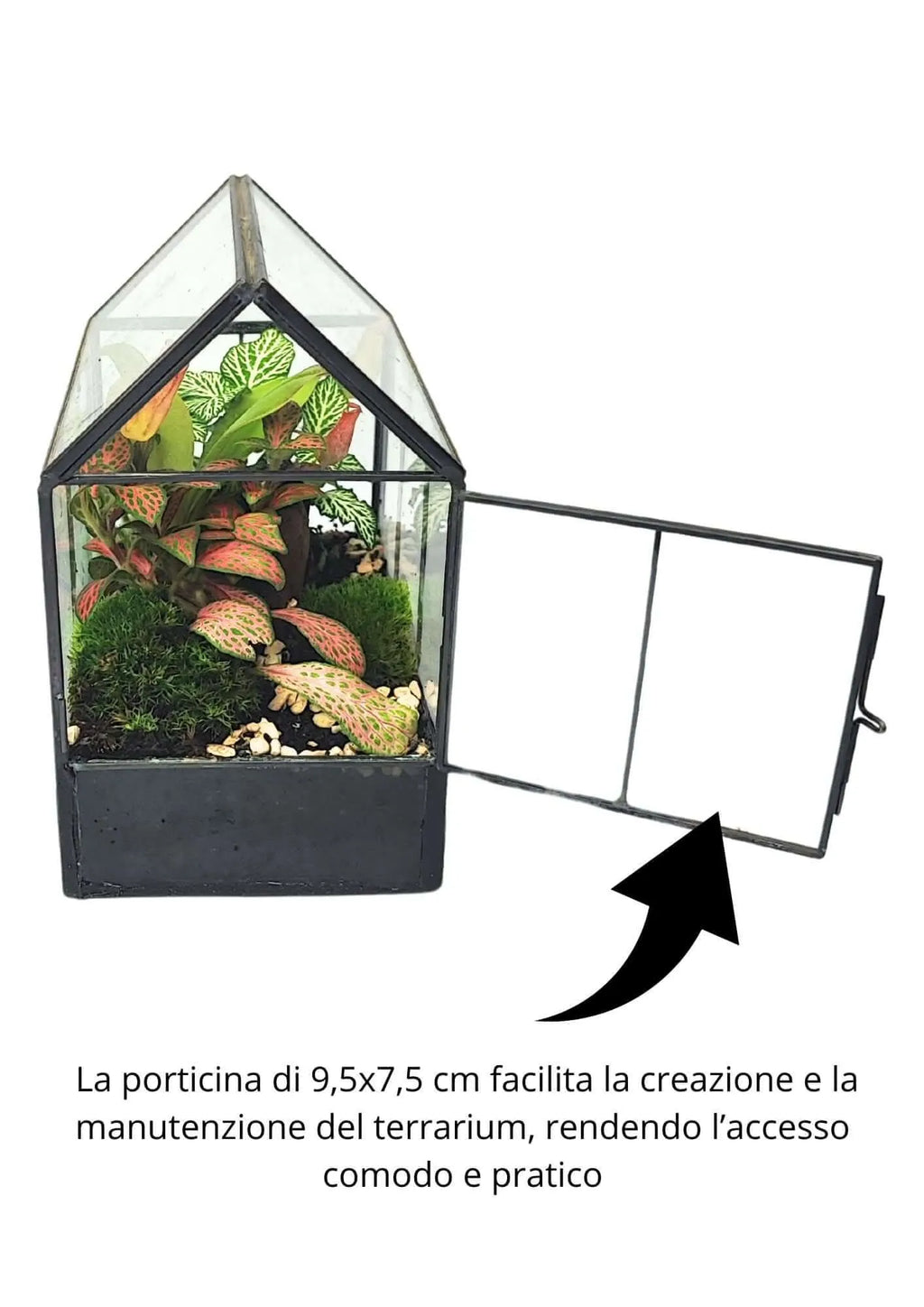 Terrarium geometrico Micro Oasi 2TR062