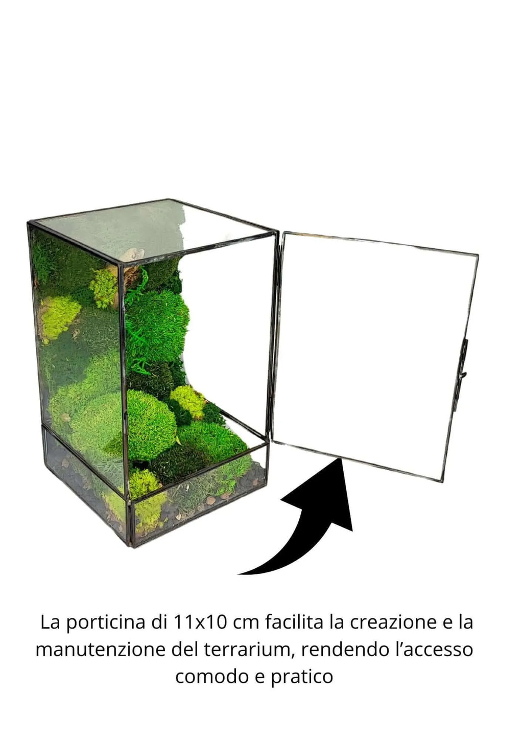 Terrarium geometrico Paradiso Naturale 2TR076